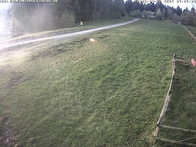 Archiv Foto Webcam Anfängerpiste Hahnenklee-Bocksberg