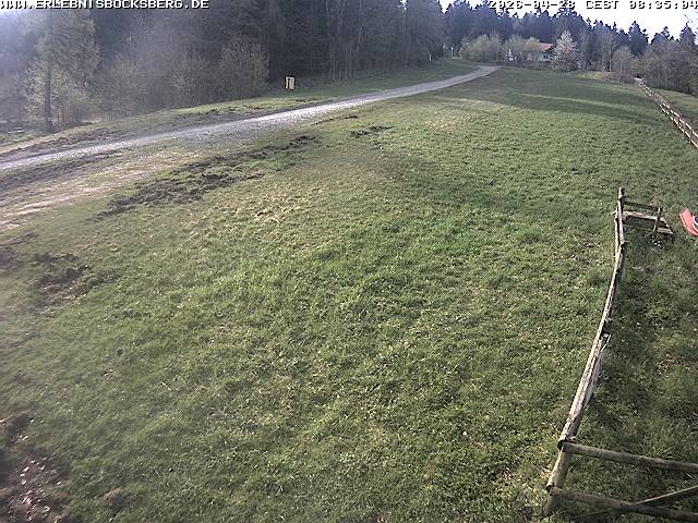 Archiv Foto Webcam Anfängerpiste Hahnenklee-Bocksberg