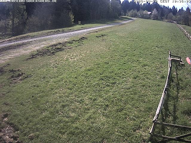 Archiv Foto Webcam Anfängerpiste Hahnenklee-Bocksberg
