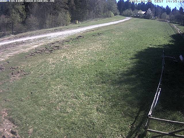 Archiv Foto Webcam Anfängerpiste Hahnenklee-Bocksberg