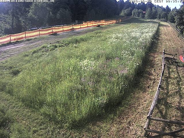 Archived image Webcam Beginner slope Hahnenklee-Bocksberg