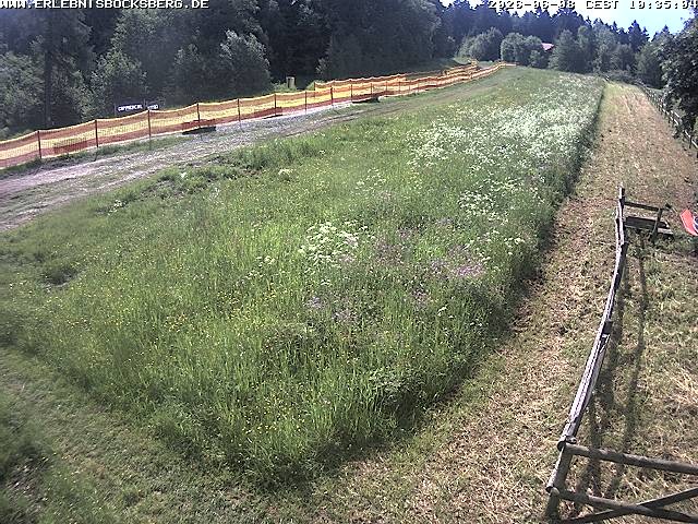 Archived image Webcam Beginner slope Hahnenklee-Bocksberg