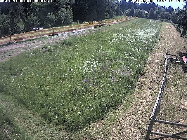 Archived image Webcam Beginner slope Hahnenklee-Bocksberg