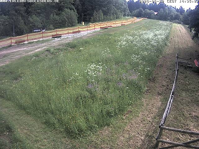 Archived image Webcam Beginner slope Hahnenklee-Bocksberg