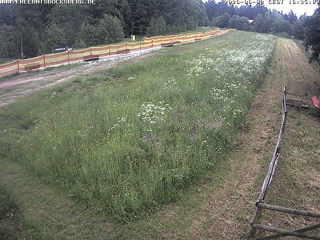 Archived image Webcam Beginner slope Hahnenklee-Bocksberg