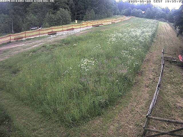 Archived image Webcam Beginner slope Hahnenklee-Bocksberg