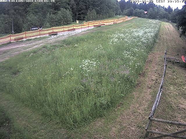 Archived image Webcam Beginner slope Hahnenklee-Bocksberg
