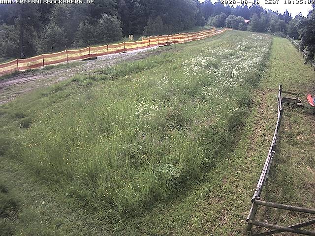 Archiv Foto Webcam Anfängerpiste Hahnenklee-Bocksberg