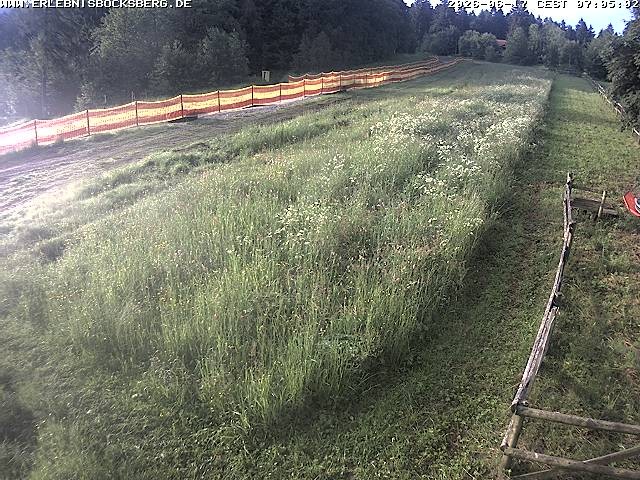 Archived image Webcam Beginner slope Hahnenklee-Bocksberg