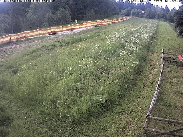 Archived image Webcam Beginner slope Hahnenklee-Bocksberg