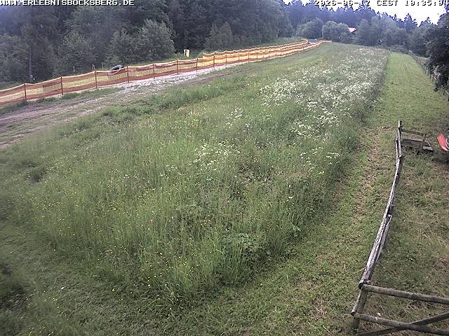 Archived image Webcam Beginner slope Hahnenklee-Bocksberg