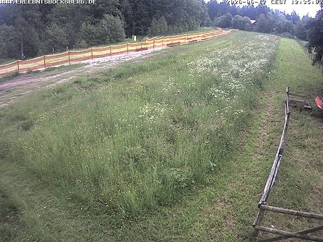 Archived image Webcam Beginner slope Hahnenklee-Bocksberg