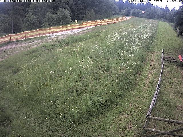 Archived image Webcam Beginner slope Hahnenklee-Bocksberg
