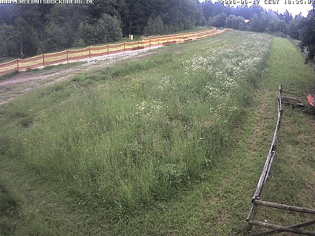 Archived image Webcam Beginner slope Hahnenklee-Bocksberg