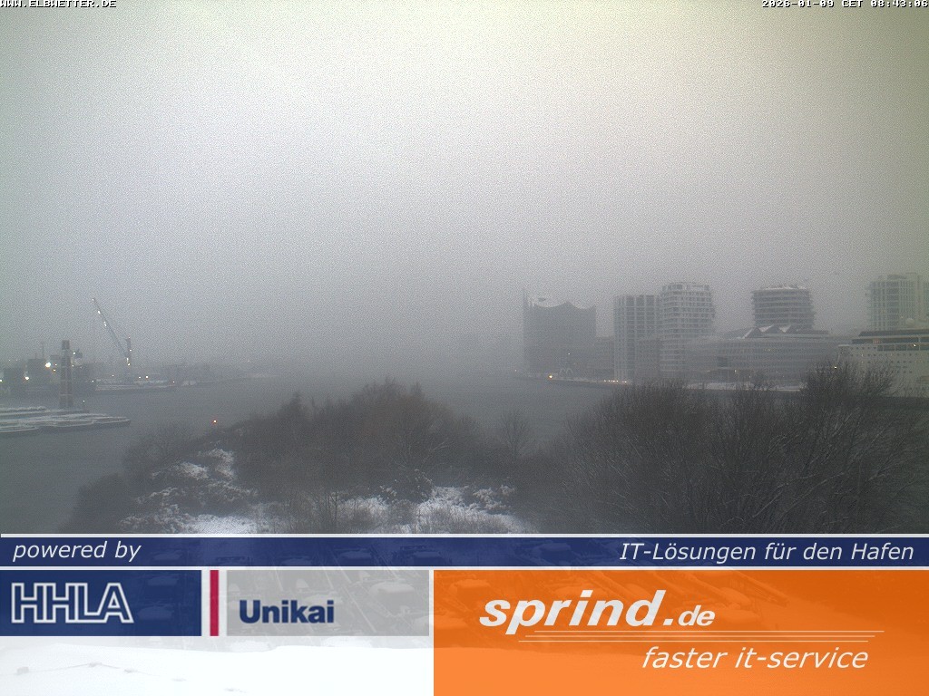 Archiv Foto Webcam Hamburg: Cruise Center Hafencity