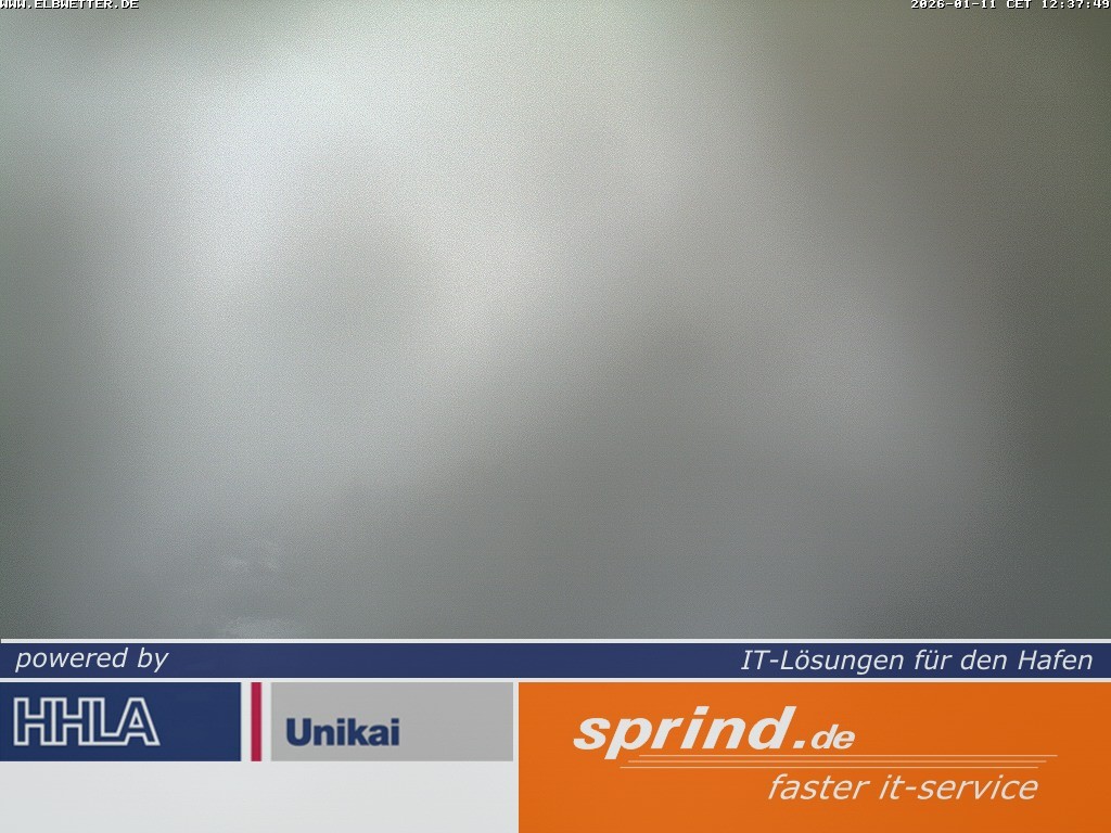 Archiv Foto Webcam Hamburg: Cruise Center Hafencity