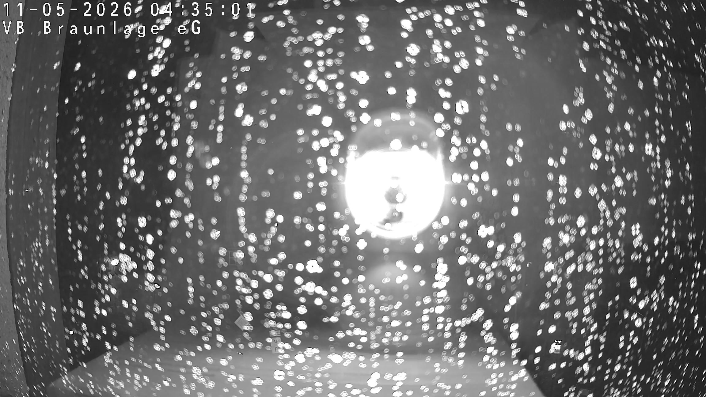 Archiv Foto Webcam Braunlage im Harz