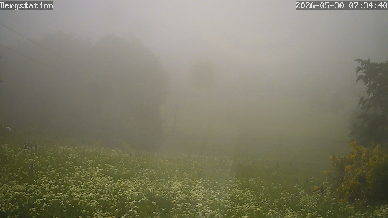 Archiv Foto Webcam Blick auf Sellinghausen