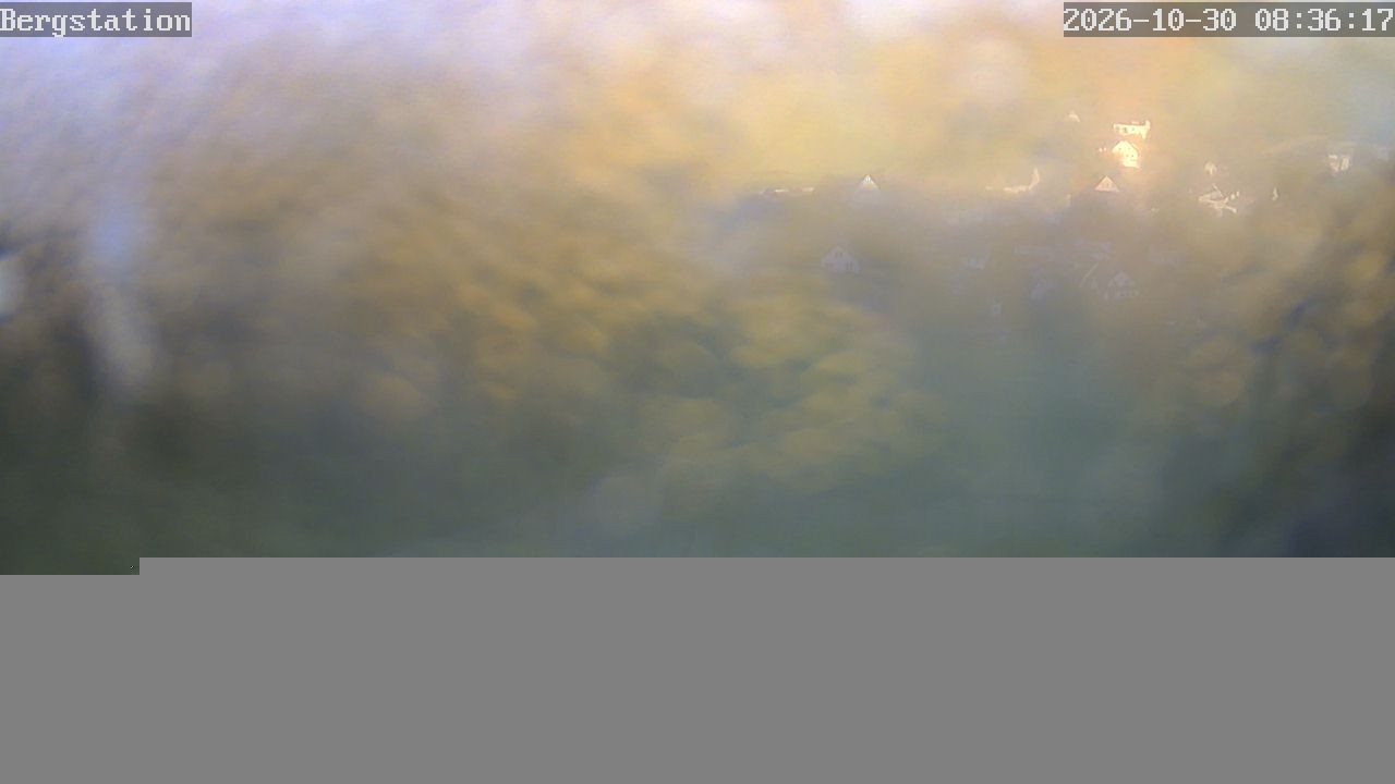 Archiv Foto Webcam Blick auf Sellinghausen