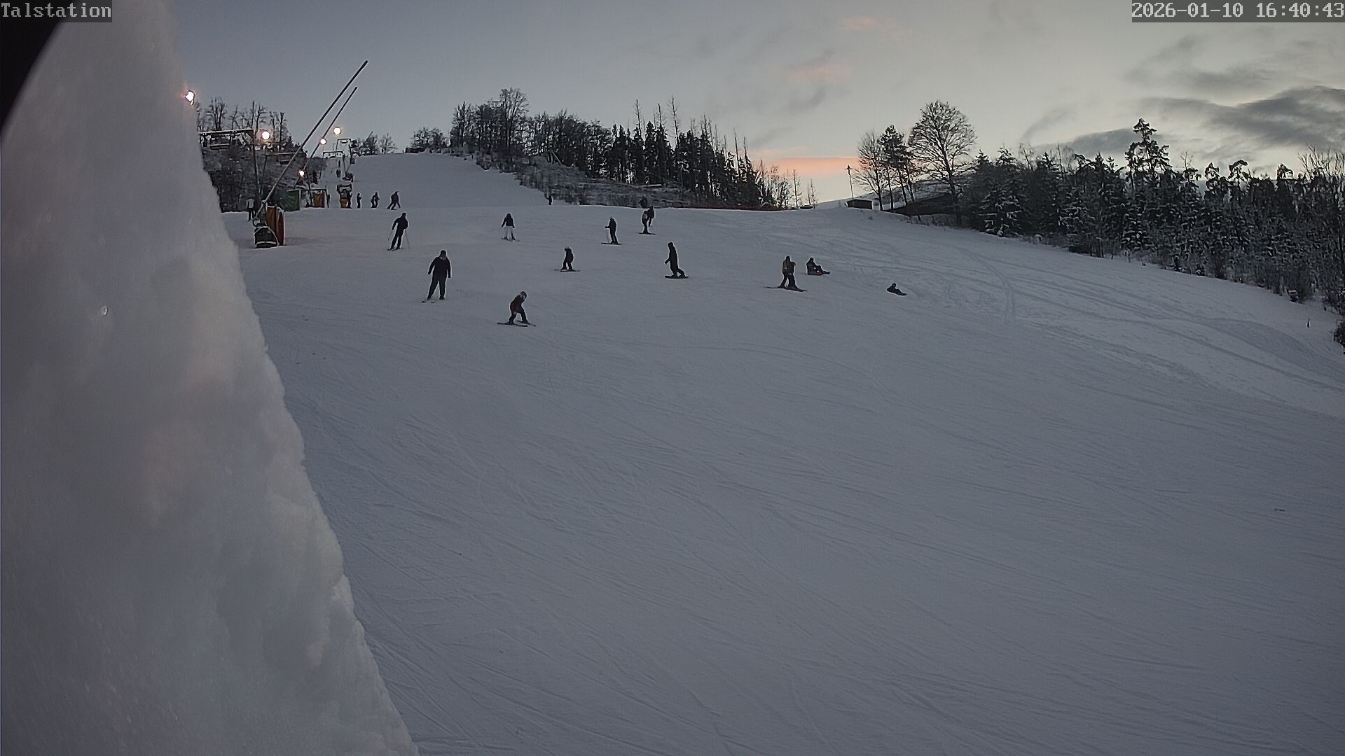 Archiv Foto Webcam Hesselbach