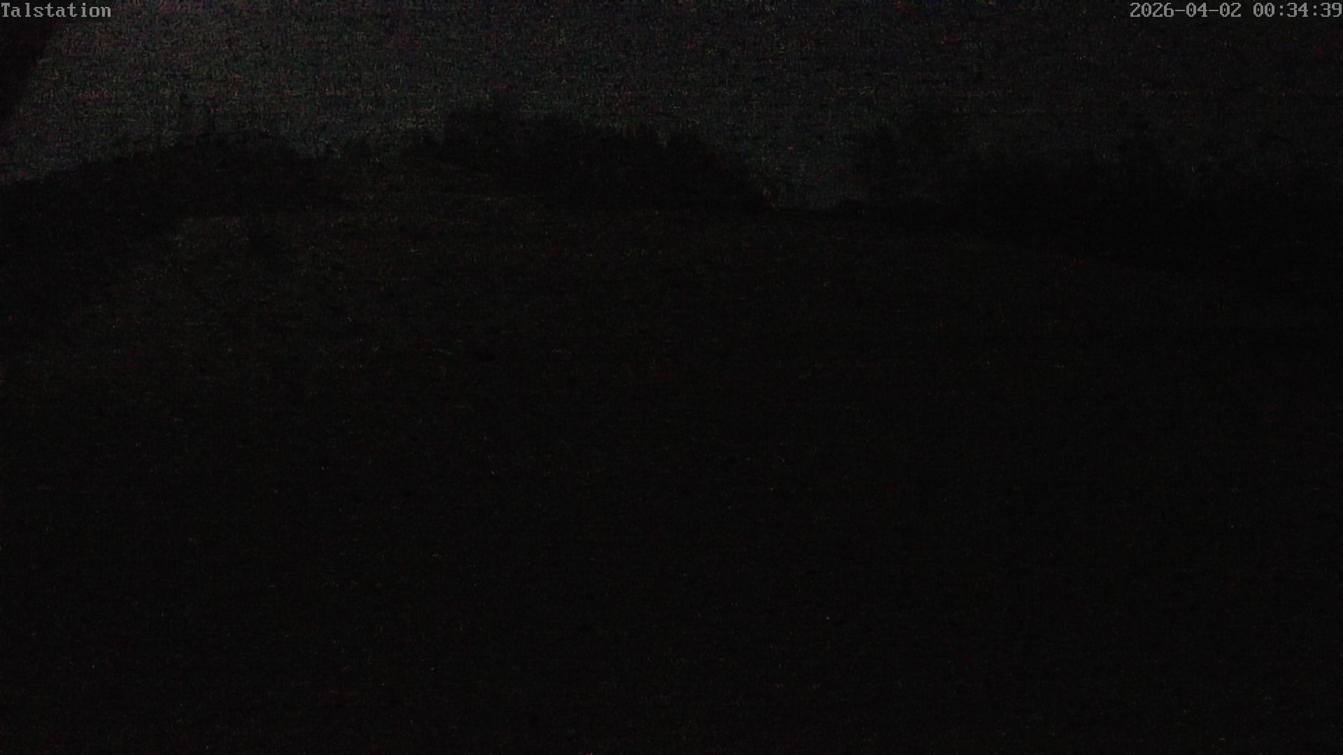 Archiv Foto Webcam Hesselbach