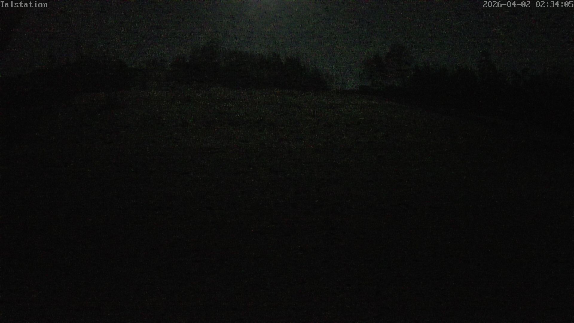 Archiv Foto Webcam Hesselbach