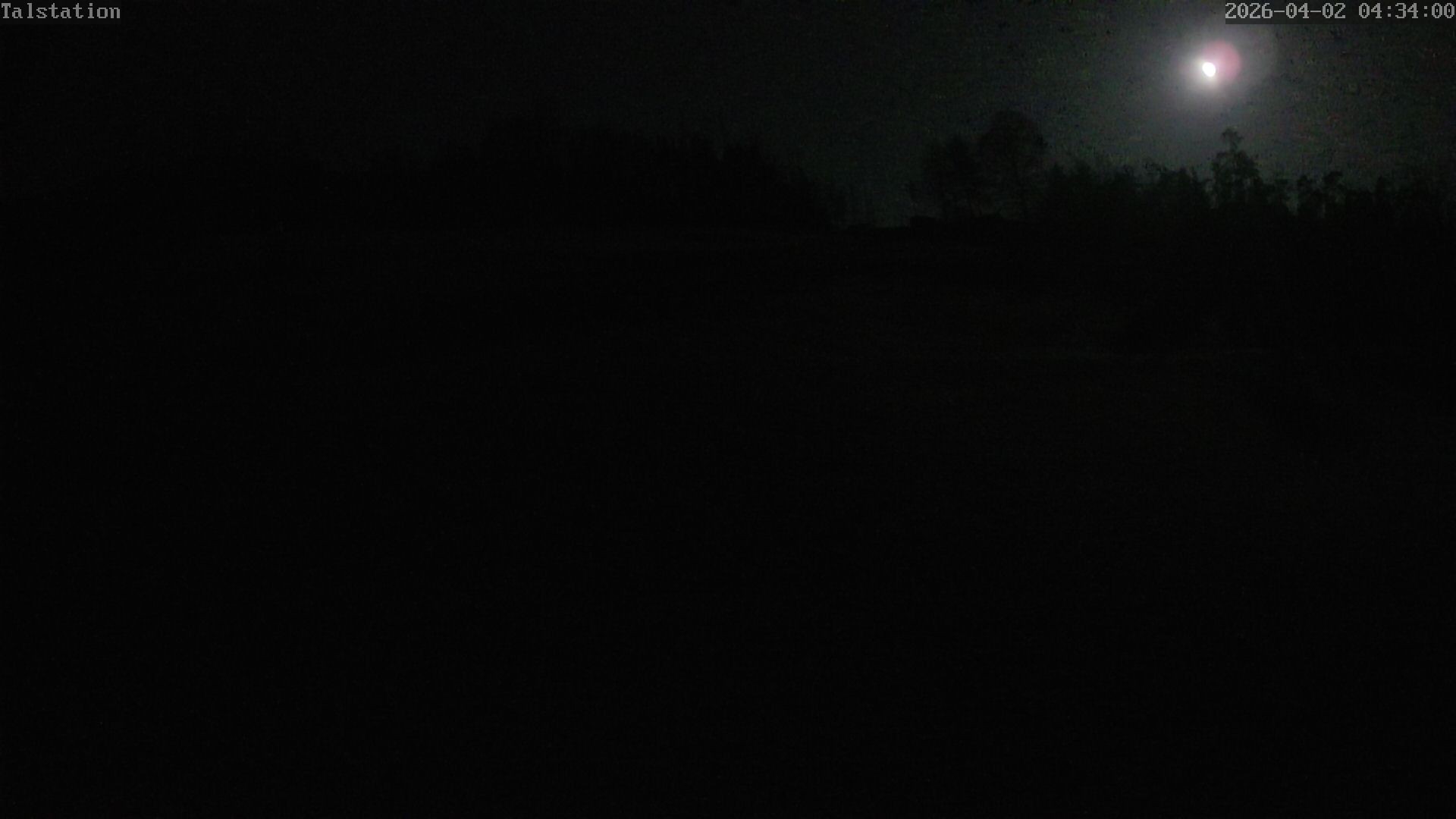 Archiv Foto Webcam Hesselbach