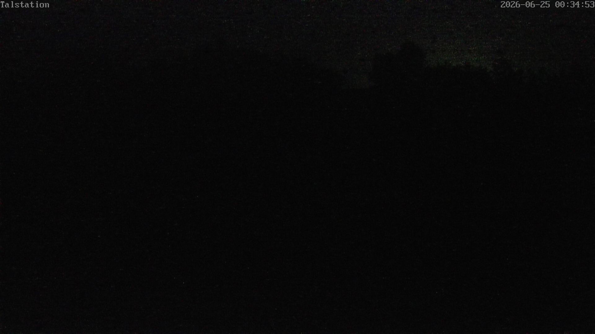 Archived image Webcam Hesselbach surroundings