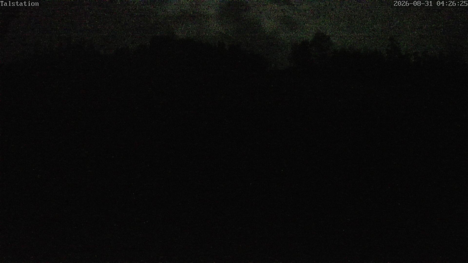 Archiv Foto Webcam Hesselbach
