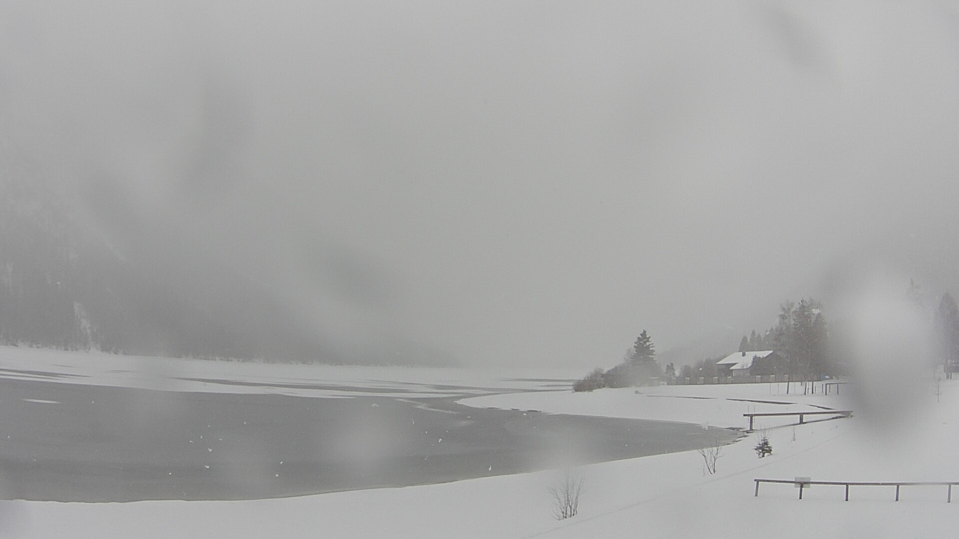 Archiv Foto Webcam Plansee: Sennalpe