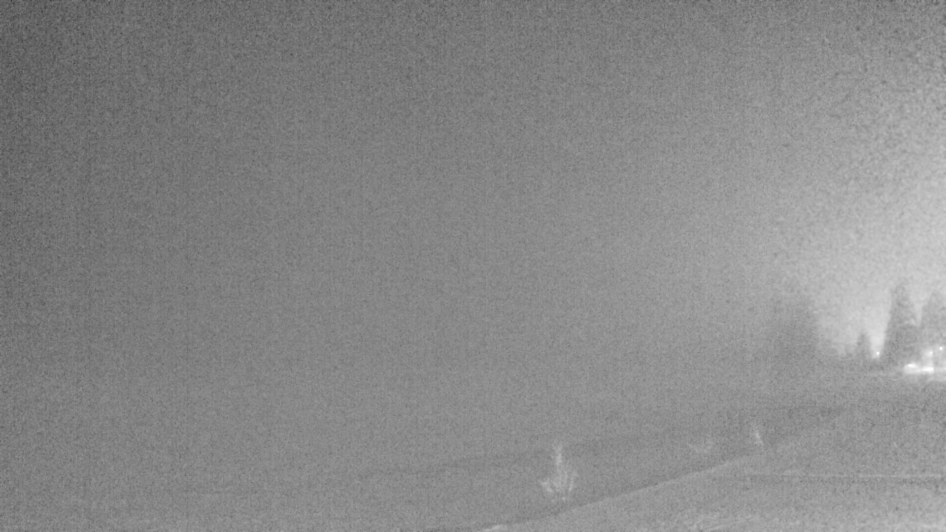 Archiv Foto Webcam Plansee: Sennalpe