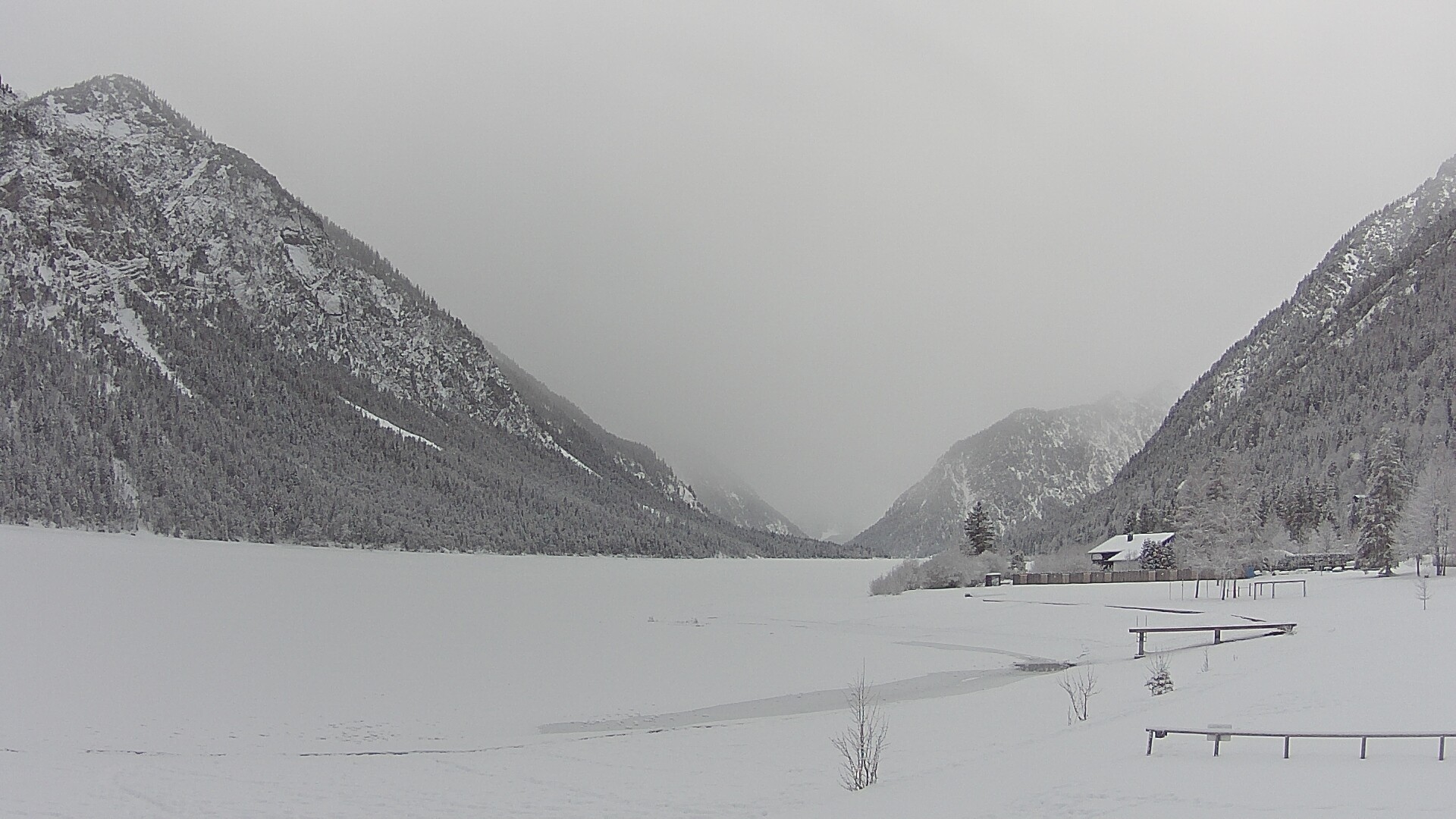 Archiv Foto Webcam Plansee: Sennalpe