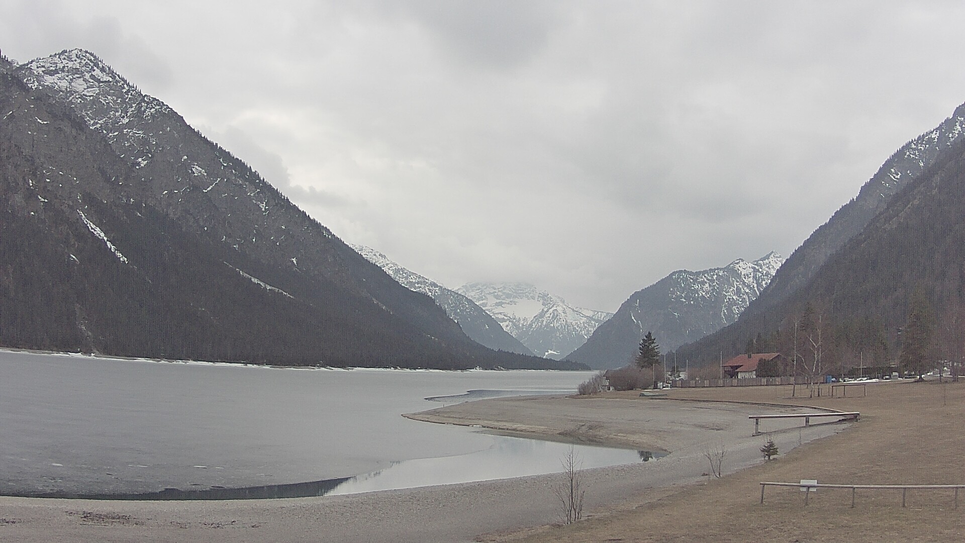 Archiv Foto Webcam Plansee: Sennalpe