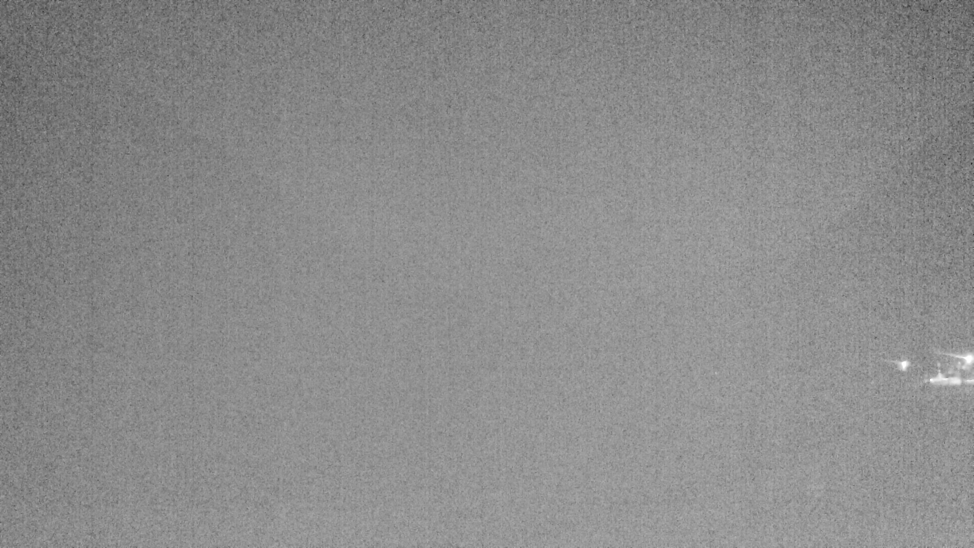 Archiv Foto Webcam Plansee: Sennalpe