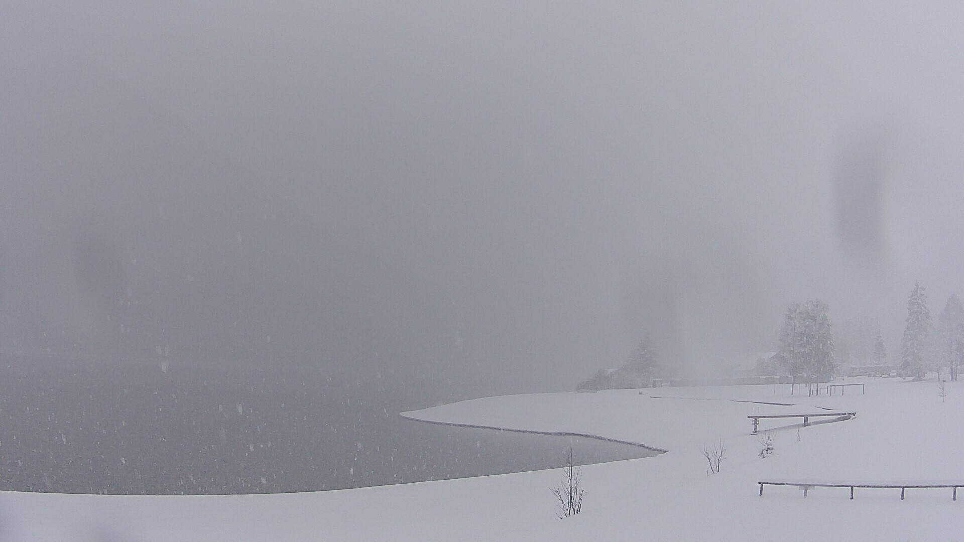 Archiv Foto Webcam Plansee: Sennalpe