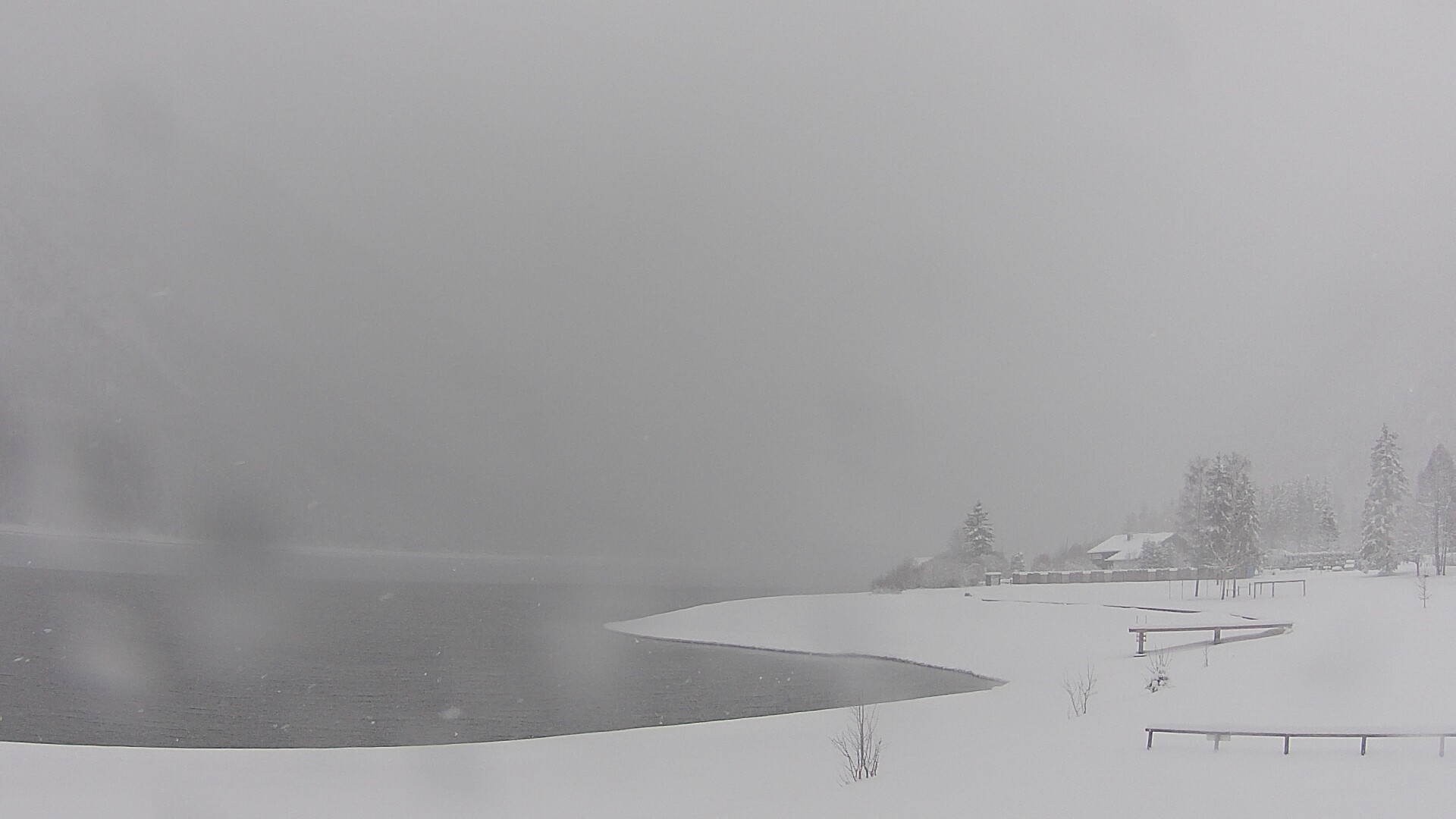 Archiv Foto Webcam Plansee: Sennalpe