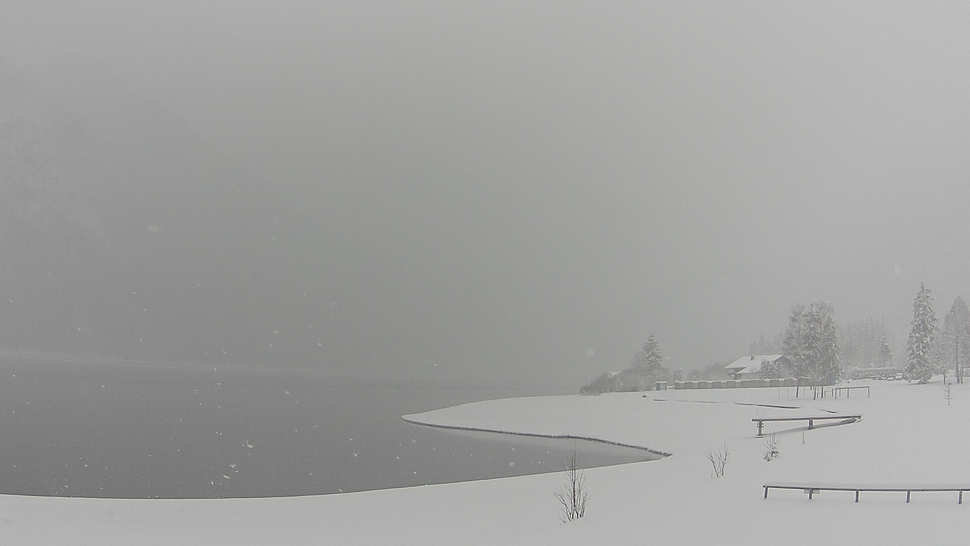 Archiv Foto Webcam Plansee: Sennalpe