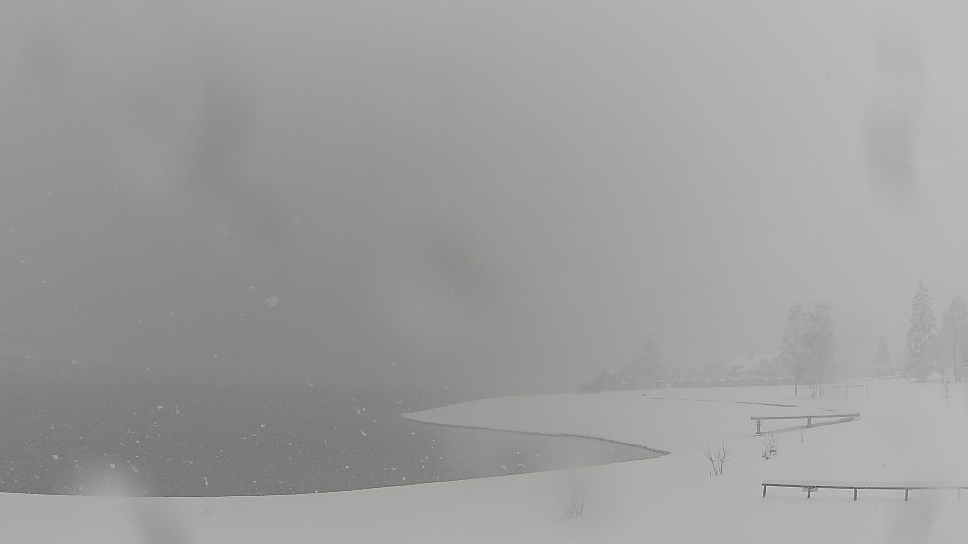 Archiv Foto Webcam Plansee: Sennalpe