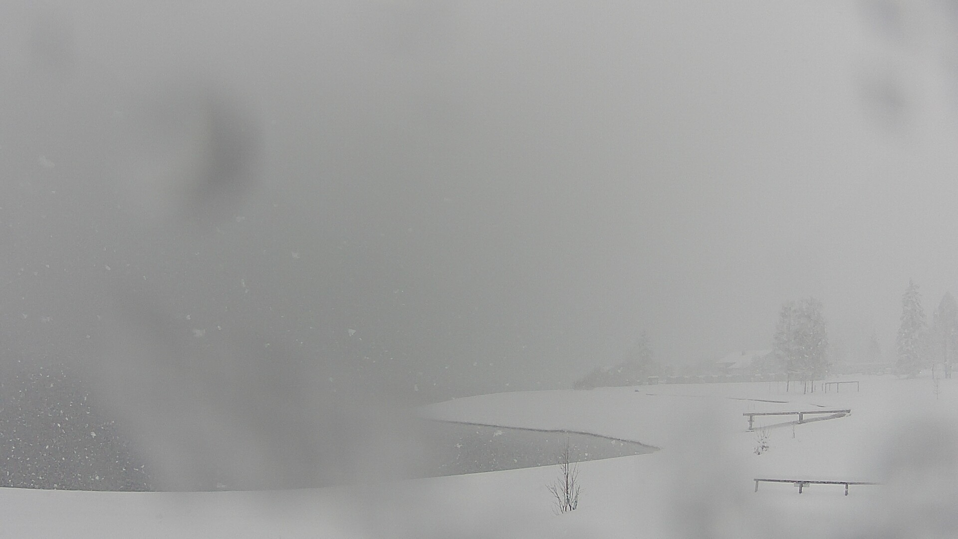 Archiv Foto Webcam Plansee: Sennalpe