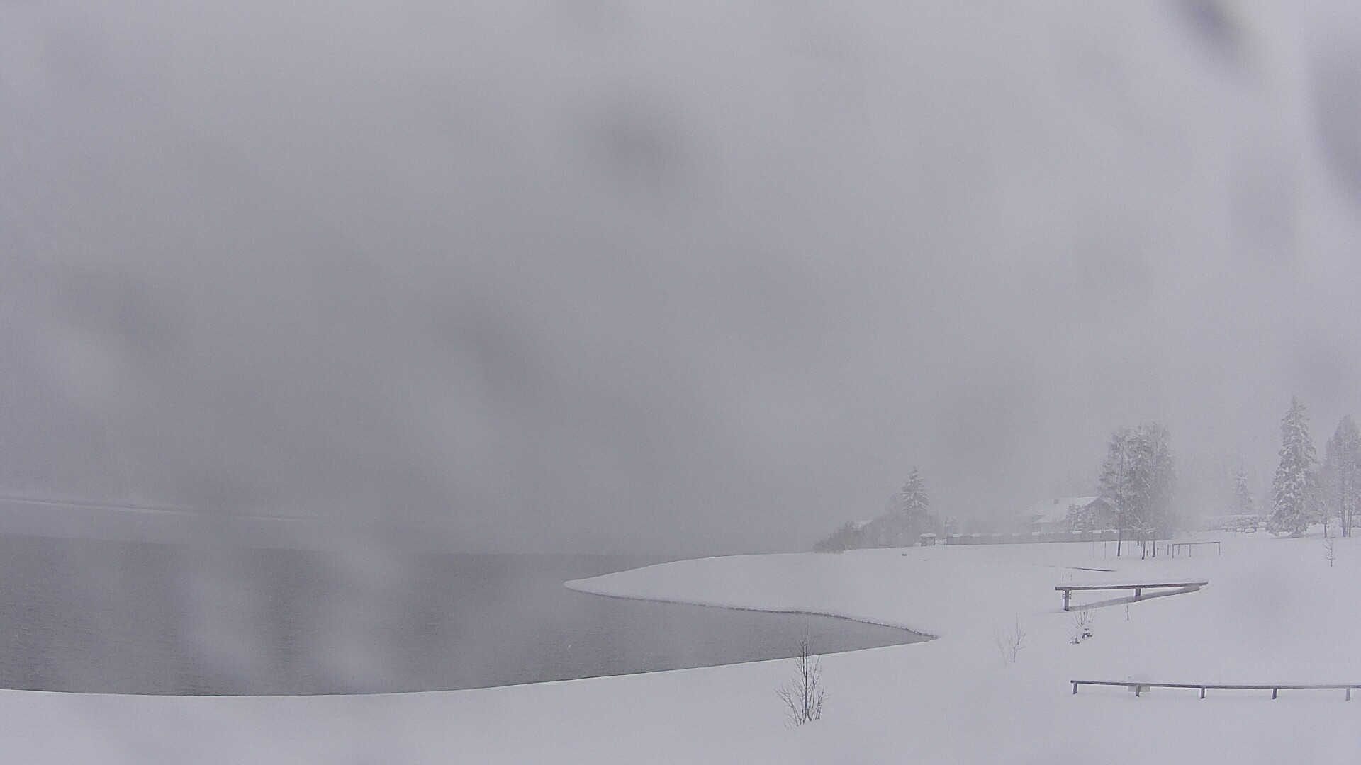 Archiv Foto Webcam Plansee: Sennalpe