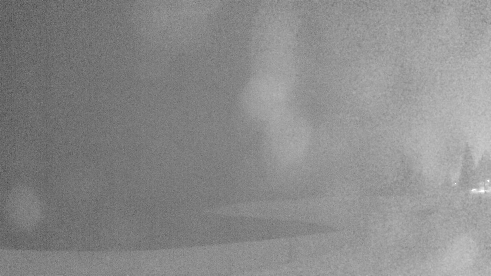 Archiv Foto Webcam Plansee: Sennalpe