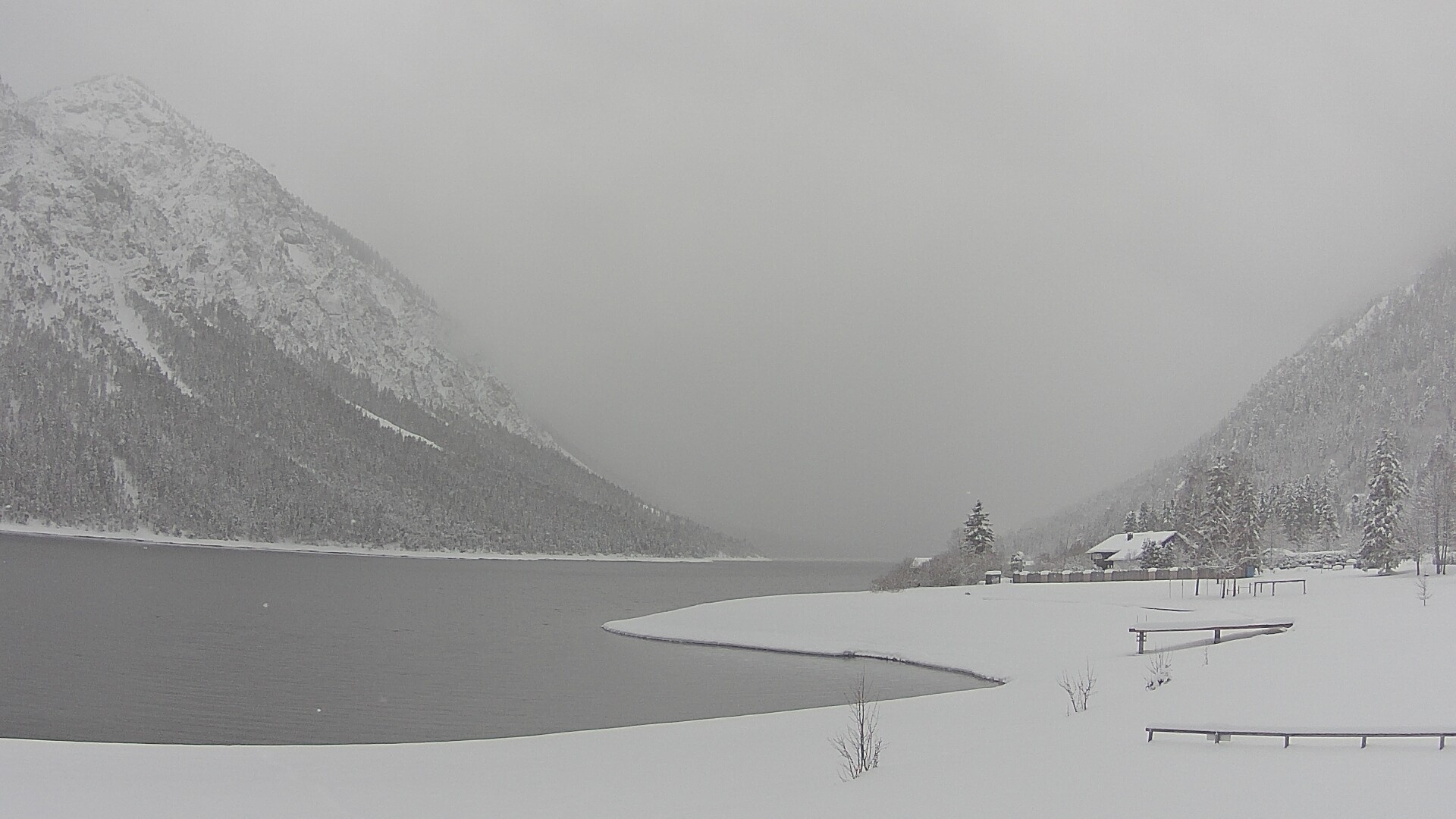 Archiv Foto Webcam Plansee: Sennalpe