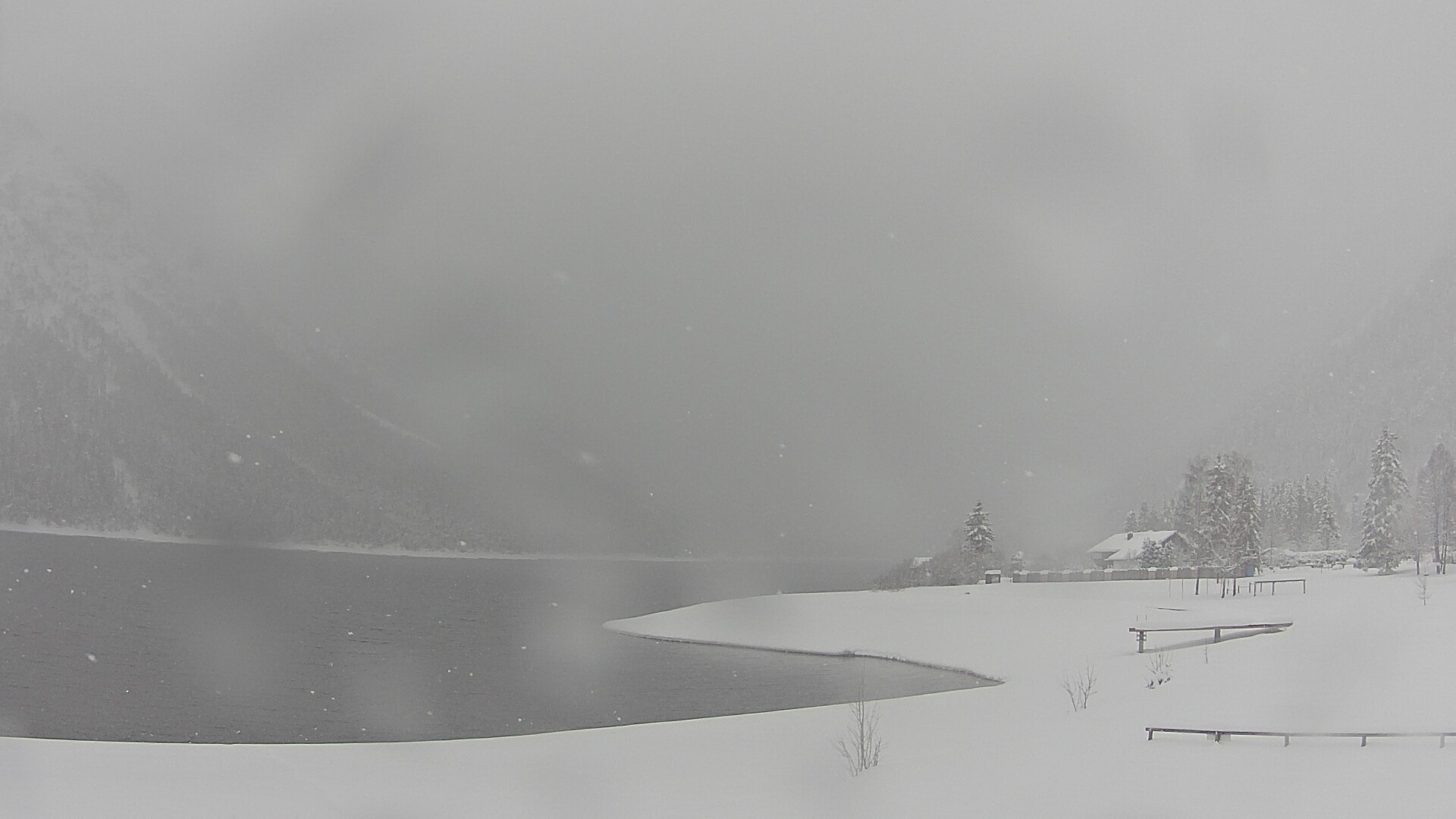 Archiv Foto Webcam Plansee: Sennalpe