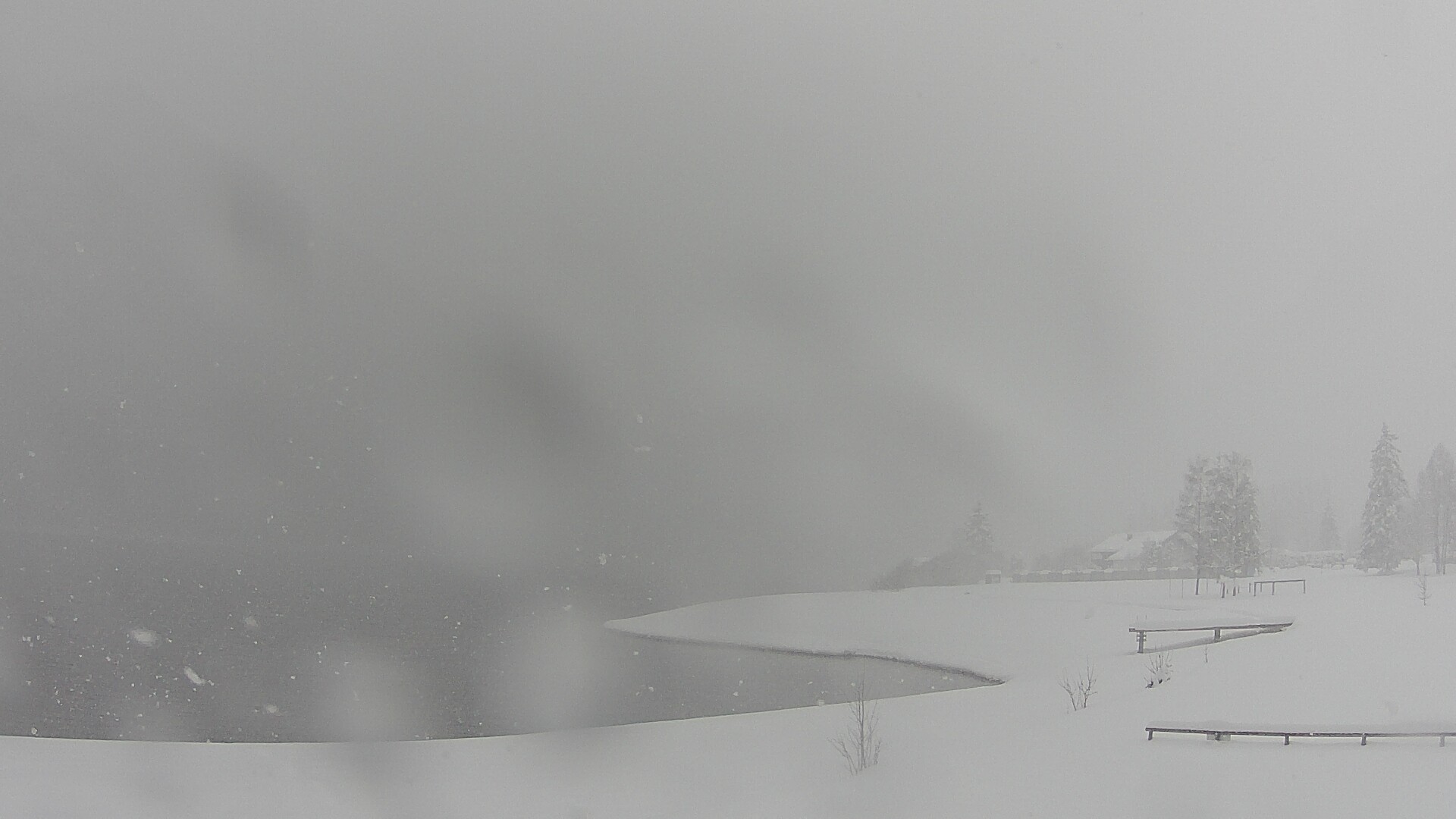 Archiv Foto Webcam Plansee: Sennalpe