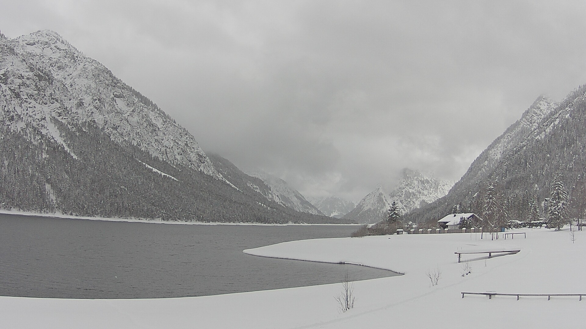 Archiv Foto Webcam Plansee: Sennalpe