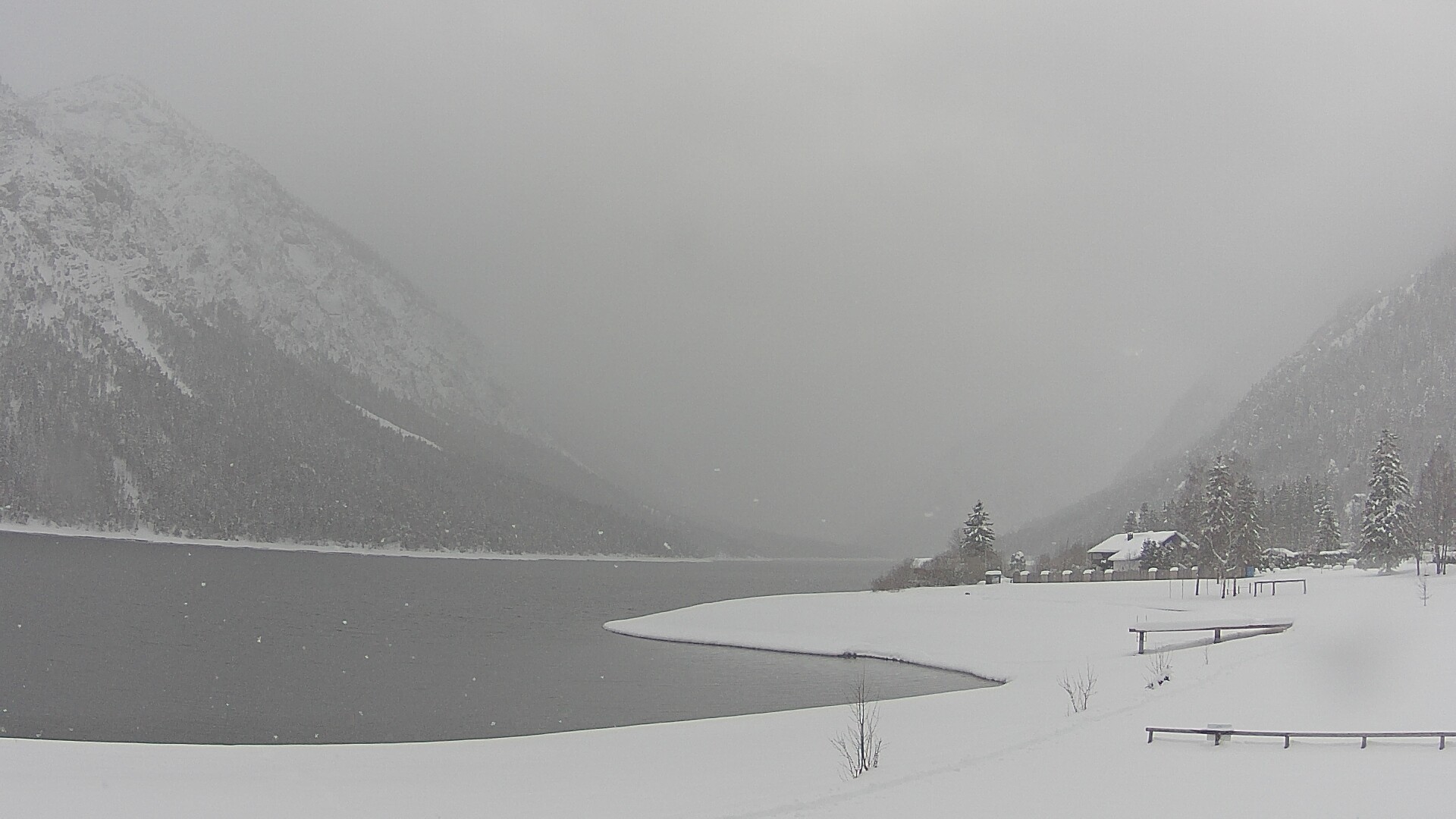 Archiv Foto Webcam Plansee: Sennalpe