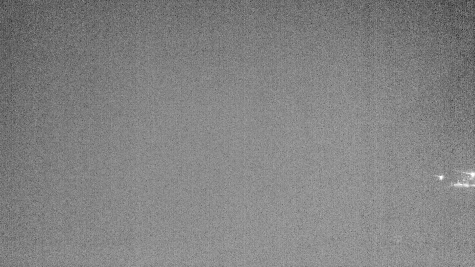 Archived image Webcam Lake Plansee near Reutte