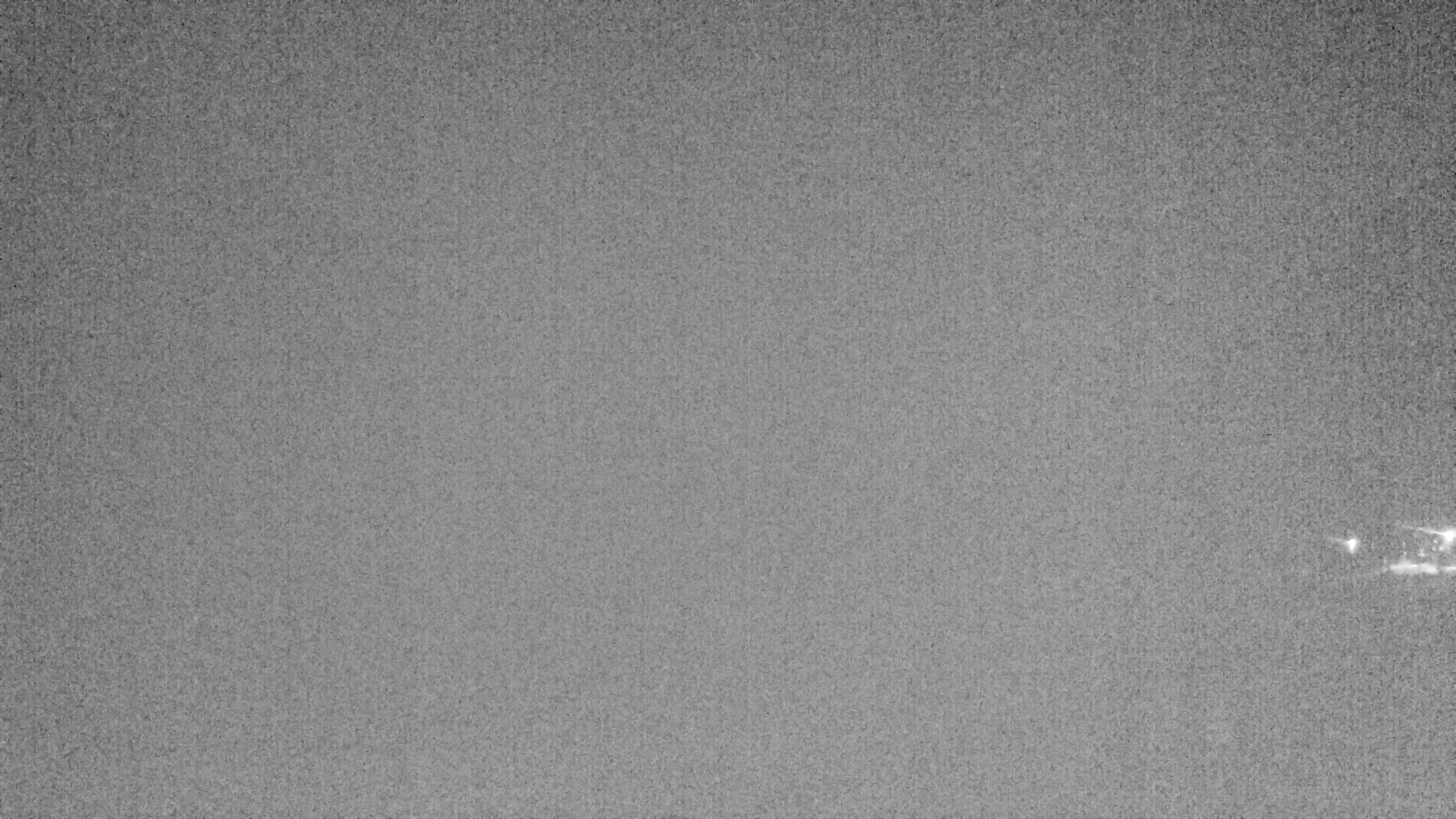 Archived image Webcam Lake Plansee near Reutte