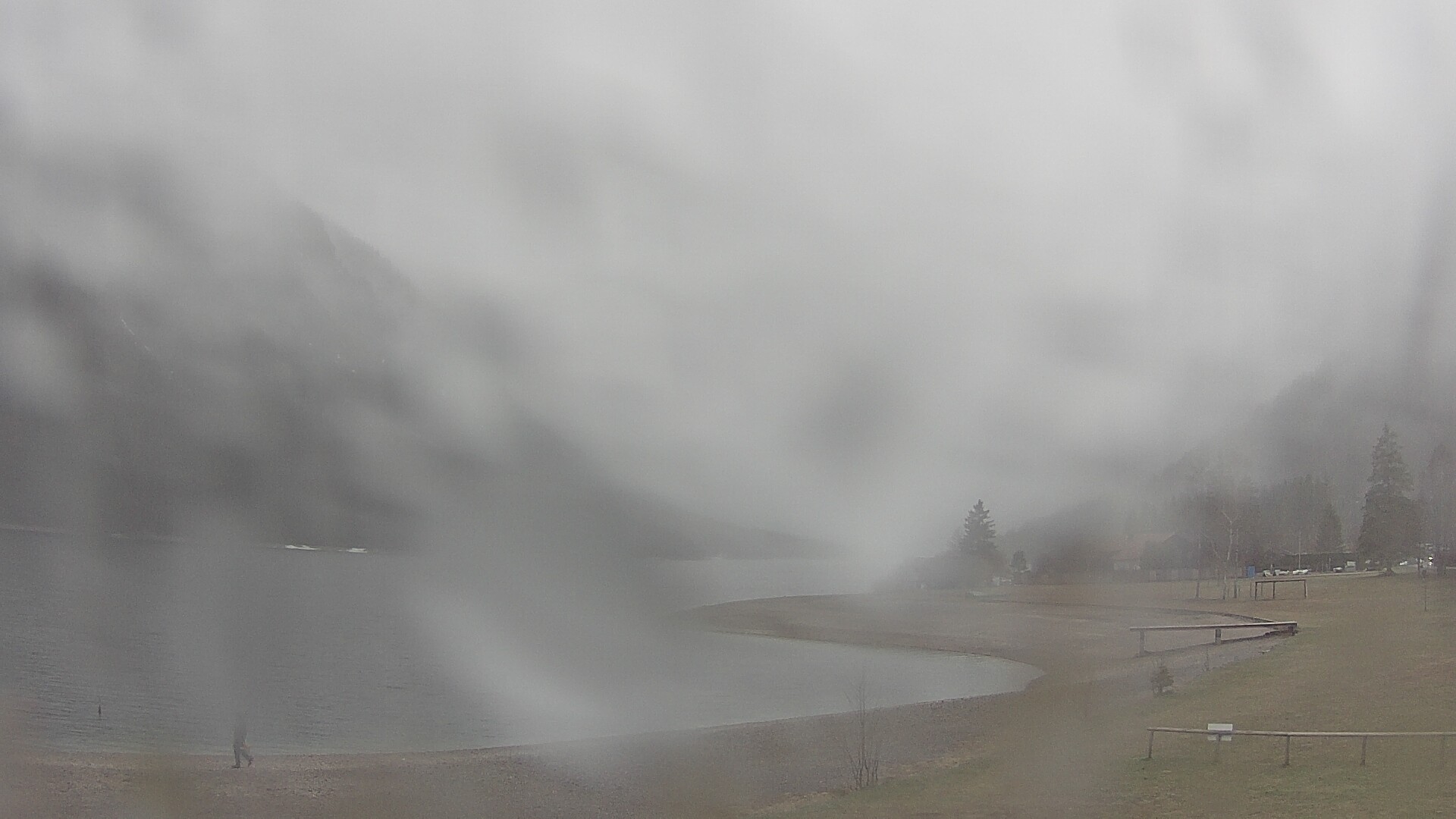 Archived image Webcam Lake Plansee near Reutte