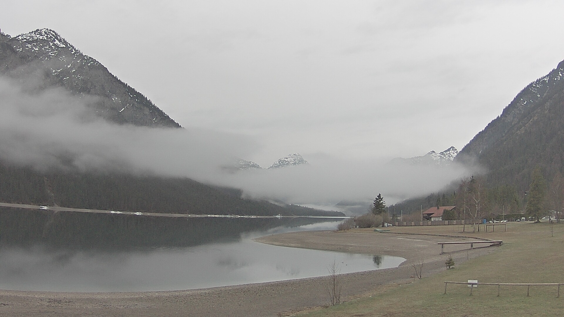 Archiv Foto Webcam Plansee: Sennalpe